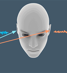 Preview for Assisting the Multi-directional Limb Motion Exercise with Spatial Audio and Interactive Feedback